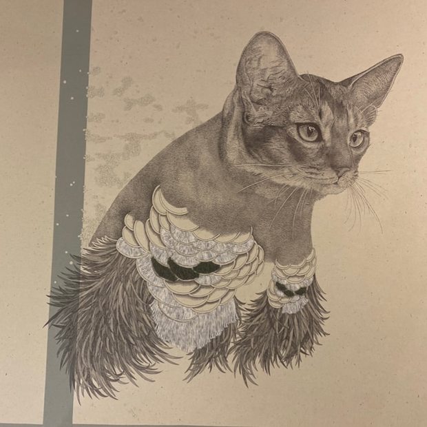 Angel cat