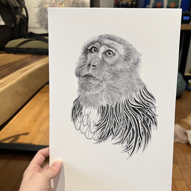 Hybrid Monkey