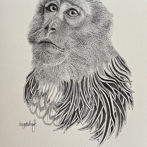 Small monkey drawing