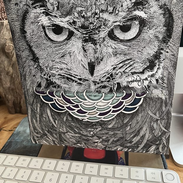 Small owl drawing 1