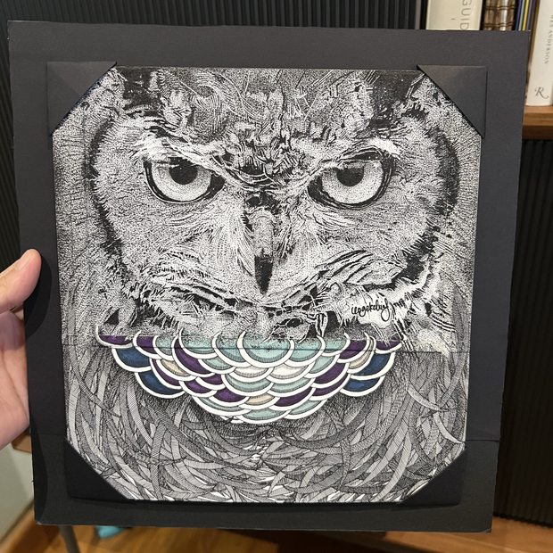 Small owl drawing 2 2025h 40cm x 45cm